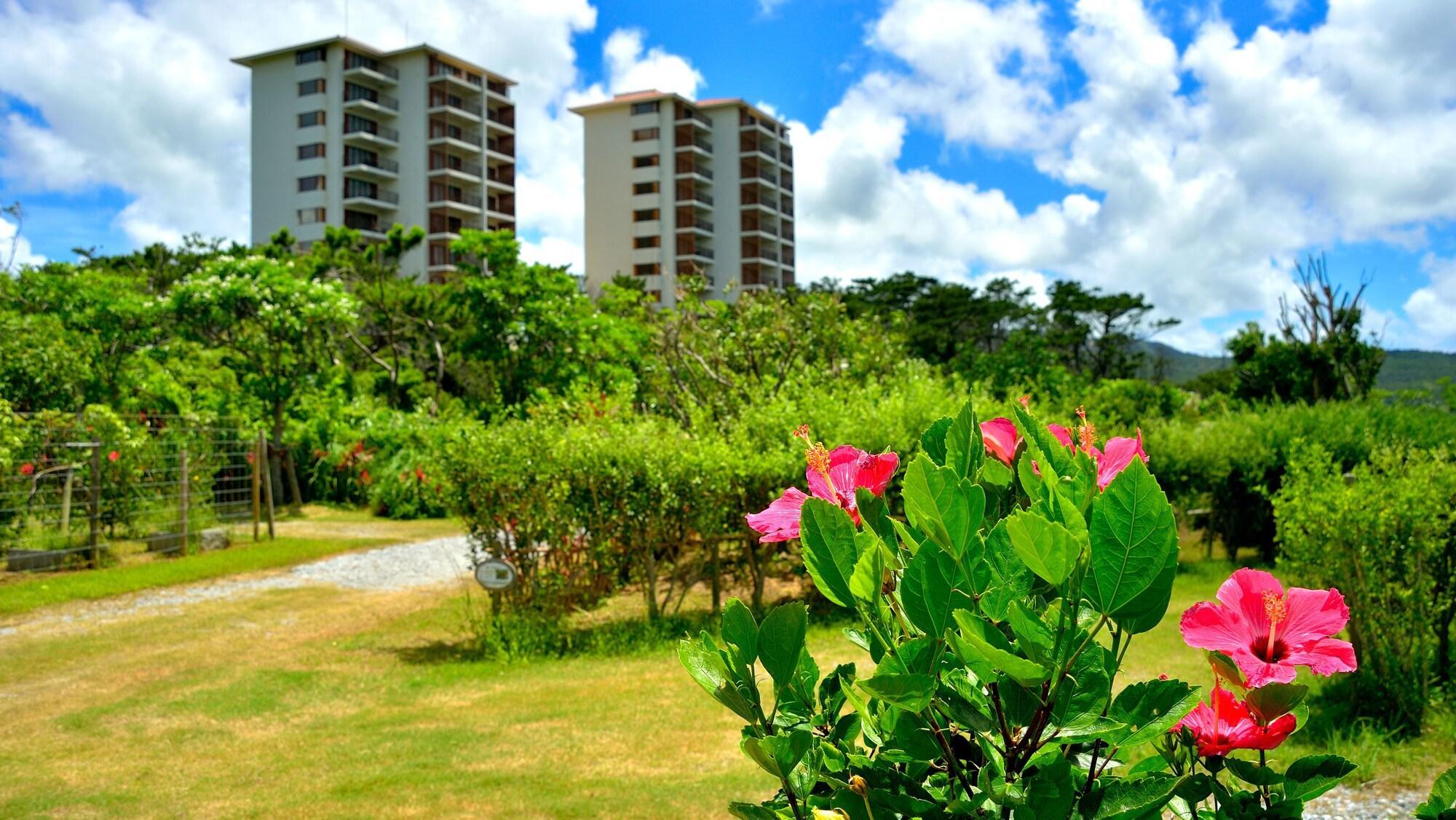 The Atta Terrace Club Towers (Adults Only) Hotel Onna Exterior foto